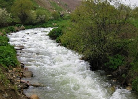 Çaylarda faktiki vəziyyət AÇIQLANDI