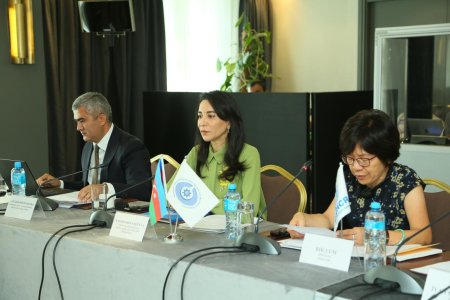 Səbinə Əliyeva Bakıda təşkil olunmuş seminarda iştirak edib