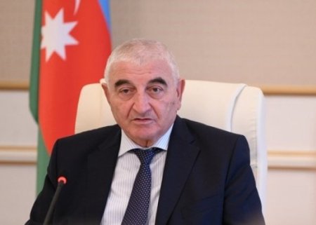 "Azərbaycan dünyada bir nümunə kimi göstərilir" - Məzahir Pənahov