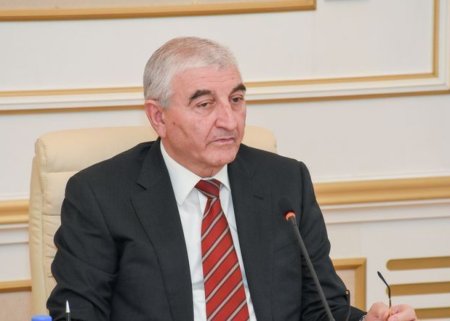 Məzahir Pənahov deputatlara vəsiqələrini təqdim etdi