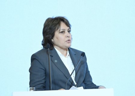 "Azərbaycanda daşqınların sayı xeyli artıb" - Umayra Tağıyeva