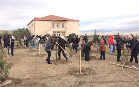 FHN ağacəkmə aksiyası keçirdi