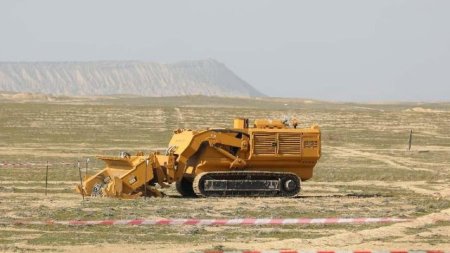 Nəbatat Bağında təmir işləri bitmək üzrədir