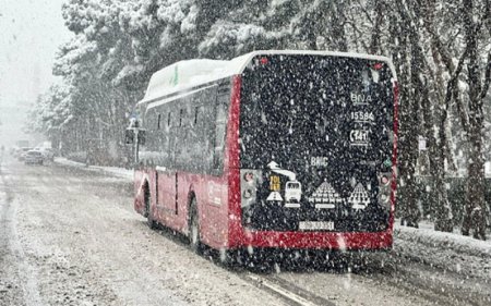 Bu gün avtobuslar saat neçəyə kimi işləyəcək?