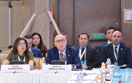 “TÜRKPA üzv dövlətlərində qanunvericiliyin uyğunlaşdırılması zəruridir”