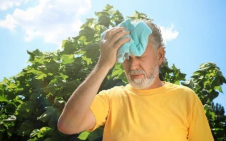 Bəzi rayonlarda temperatur 39 dərəcəyə çatıb