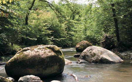 Milli parklara səfər edən turistlərin sayı artıb