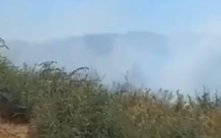 Cəlilabadda meşə yanır - Helikopterlər cəlb edildi