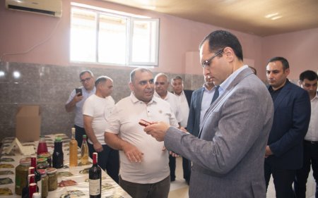 Nazir Şamaxıda şərab istehsalı müəssisələrinin fəaliyyəti ilə tanış olub