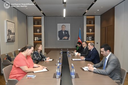 Ceyhun Bayramov səfiri qəbul edib