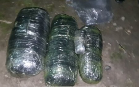 13 kiloqramdan artıq narkotik vasitə götürülüb