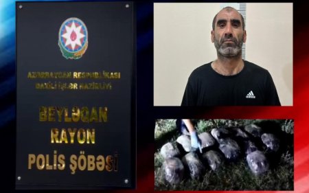 Beyləqanda 16 kiloqram marixuana və həşiş aşkarlandı
