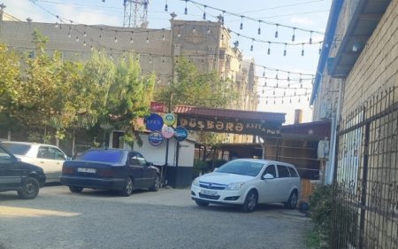 Bu restoranlarda çöl quşları baytar nəzarəti olmadan saxlanılırmış