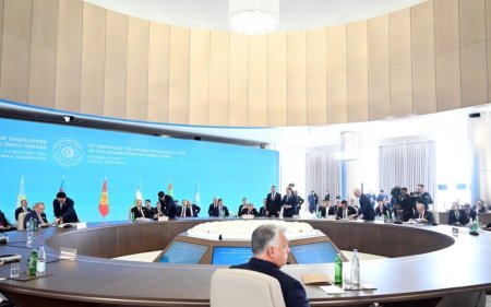 "TDT+" formatının təsis edilməsi haqqında qərar imzalanıb