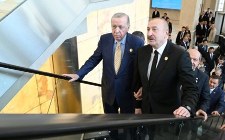 Dövlət rəhbərlərinin Qəbələdə səmimi görüntüləri - VİDEO