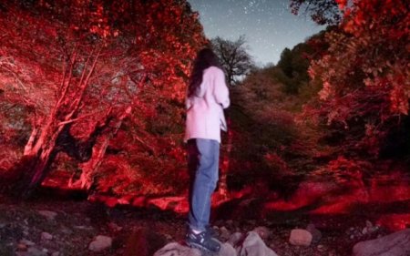 Leyla Əliyeva Qəbələdən paylaşım etdi