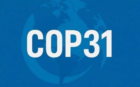 Türkiyənin COP31-ə ev sahibliyi edəcəyi təsdiqləndi