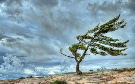 Bu rayonlarda güclü külək əsir – Faktiki hava