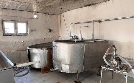 Ağcabədidə pendir sexinin fəaliyyəti məhdudlaşdırıldı