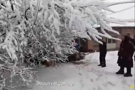 Güclü qar səbəbindən vətəndaşın üzərinə ağac aşdı - VİDEO