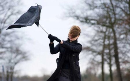 Bəzi ərazilərdə külək güclənəcək