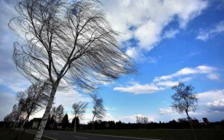 Küləkli hava ilə bağlı sarı xəbərdarlıq