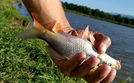 Sabahdan balıq ovu qadağan edilir