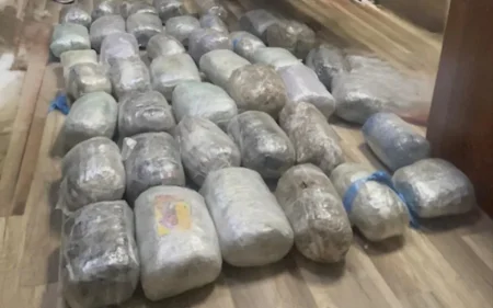 Bir gündə 34 kiloqramdan çox narkotik aşkarlanıb
