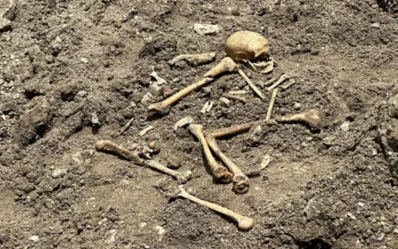Ağdamda qazıntı zamanı insan skeletinə bənzər qalıqlar aşkarlandı