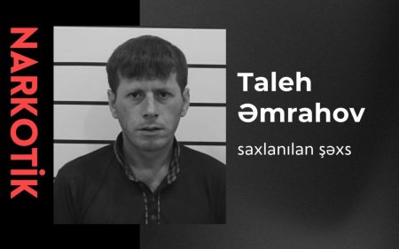 Lənkəranda 26 kiloqram narkotik aşkarlandı - VİDEO