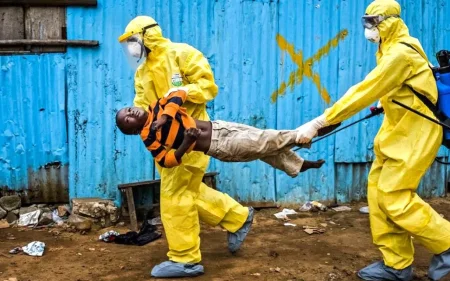 Ebola virusundan ölənlərin sayı artır