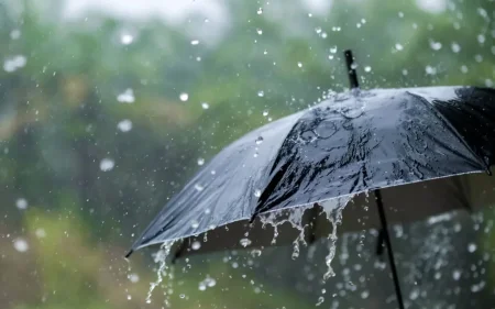 Bazar gününə olan hava proqnozu