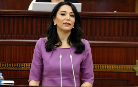 Ombudsman beynəlxalq qurumlara səsləndi: 3682 ailə cavab gözləyir