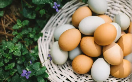 Kaliforniyada salmonella epidemiyası qeydə alınıb